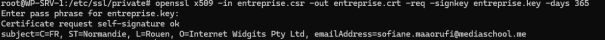 Configuration HTTPS 4