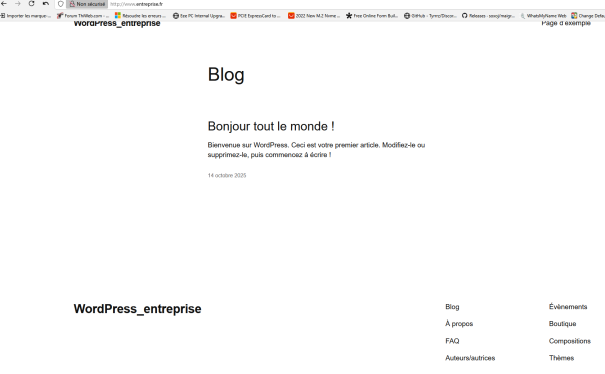 Page web entreprise